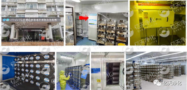 動(dòng)物實(shí)驗(yàn)室難聞的惡臭異味有哪些危害？如何去除？——?jiǎng)游飳?shí)驗(yàn)室去除臭味異味空氣質(zhì)量控制方案